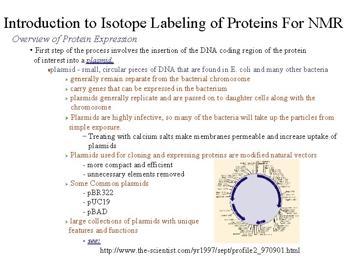 Introduction to Isotope Labeling of Proteins For NMR Overview of Protein Expression • First