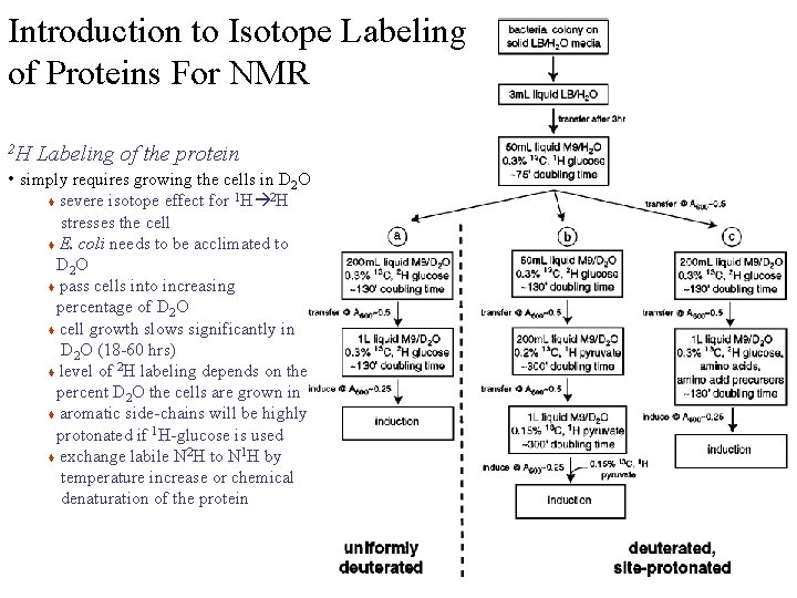 Introduction to Isotope Labeling of Proteins For NMR 2 H Labeling of the protein