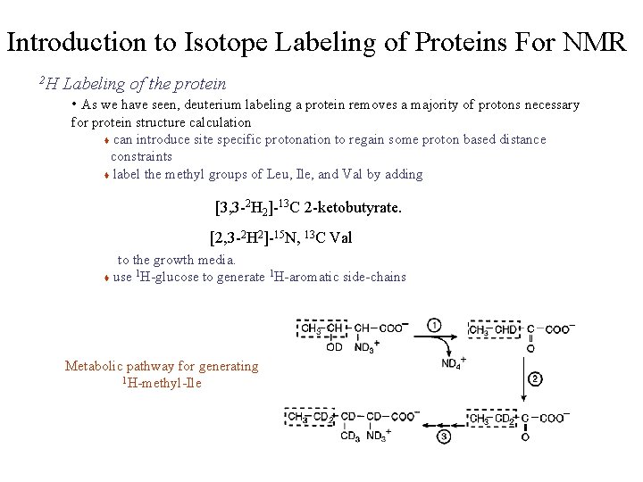 Introduction to Isotope Labeling of Proteins For NMR 2 H Labeling of the protein