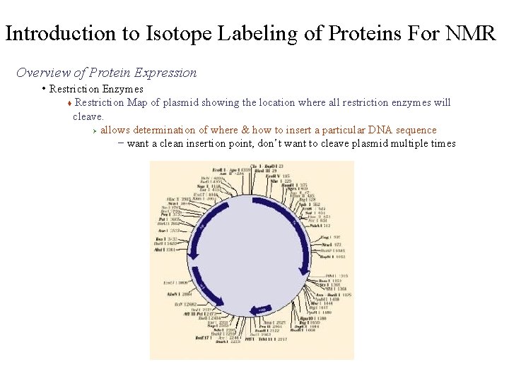 Introduction to Isotope Labeling of Proteins For NMR Overview of Protein Expression • Restriction