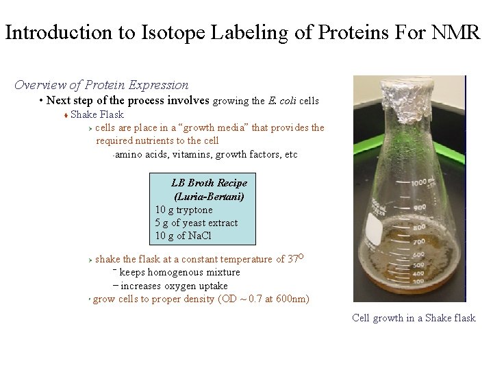 Introduction to Isotope Labeling of Proteins For NMR Overview of Protein Expression • Next