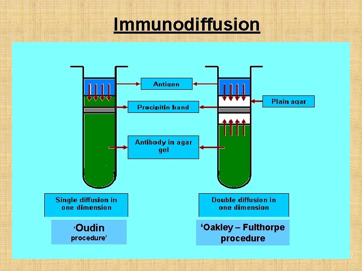Immunodiffusion ‘Oudin procedure’ ‘Oakley – Fulthorpe procedure 17 