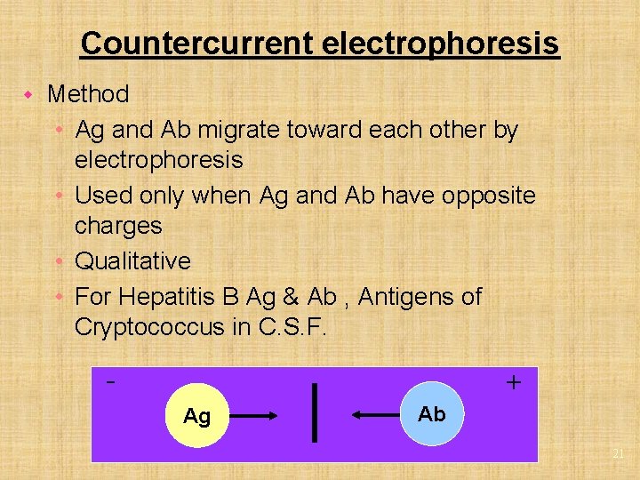 Countercurrent electrophoresis w Method • Ag and Ab migrate toward each other by electrophoresis