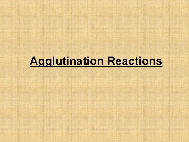 Agglutination Reactions 23 