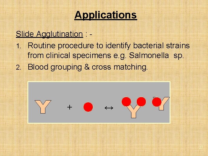 Applications Slide Agglutination : 1. Routine procedure to identify bacterial strains from clinical specimens