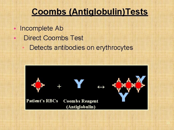 Coombs (Antiglobulin)Tests Incomplete Ab w Direct Coombs Test • Detects antibodies on erythrocytes w