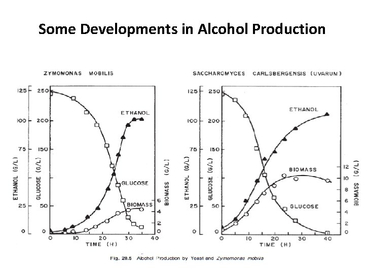 Some Developments in Alcohol Production 