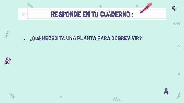 RESPONDE EN TU CUADERNO : ● ¿Qué NECESITA UNA PLANTA PARA SOBREVIVIR? 