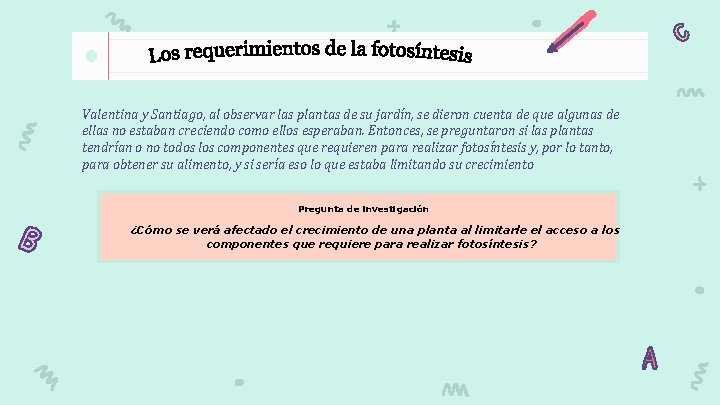 Valentina y Santiago, al observar las plantas de su jardín, se dieron cuenta de