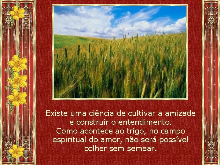 Existe uma ciência de cultivar a amizade e construir o entendimento. Como acontece ao