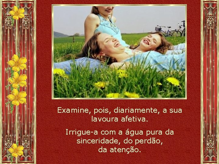 Examine, pois, diariamente, a sua lavoura afetiva. Irrigue-a com a água pura da sinceridade,