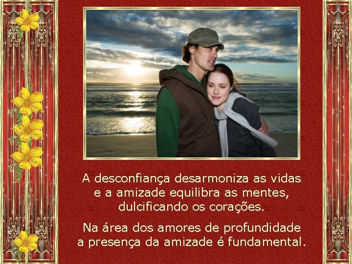 A desconfiança desarmoniza as vidas e a amizade equilibra as mentes, dulcificando os corações.