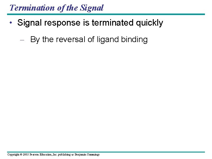 Termination of the Signal • Signal response is terminated quickly – By the reversal