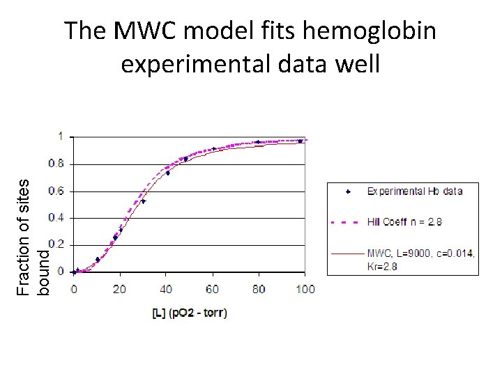 Fraction of sites bound The MWC model fits hemoglobin experimental data well 