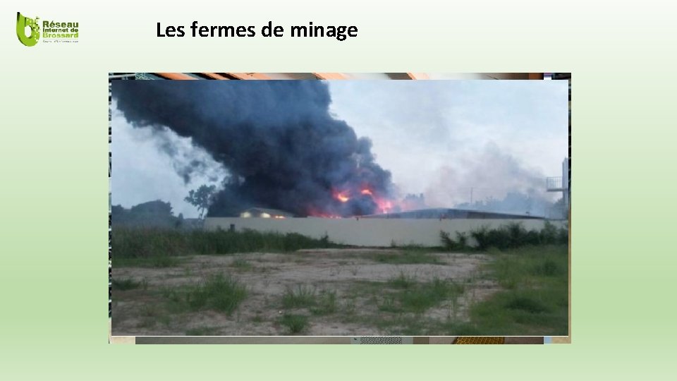 Les fermes de minage 