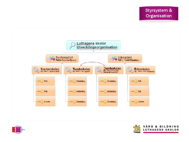 Styrsystem & Organisation 