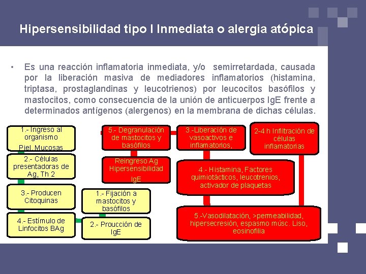 Hipersensibilidad tipo I Inmediata o alergia atópica • Es una reacción inflamatoria inmediata, y/o