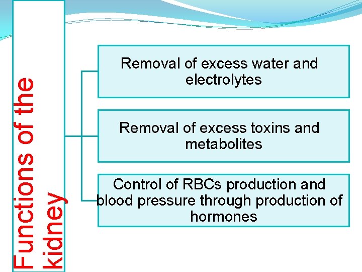 Functions of the kidney Removal of excess water and electrolytes Removal of excess toxins