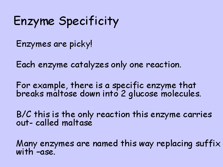 Enzyme Specificity l Enzymes are picky! l Each enzyme catalyzes only one reaction. l