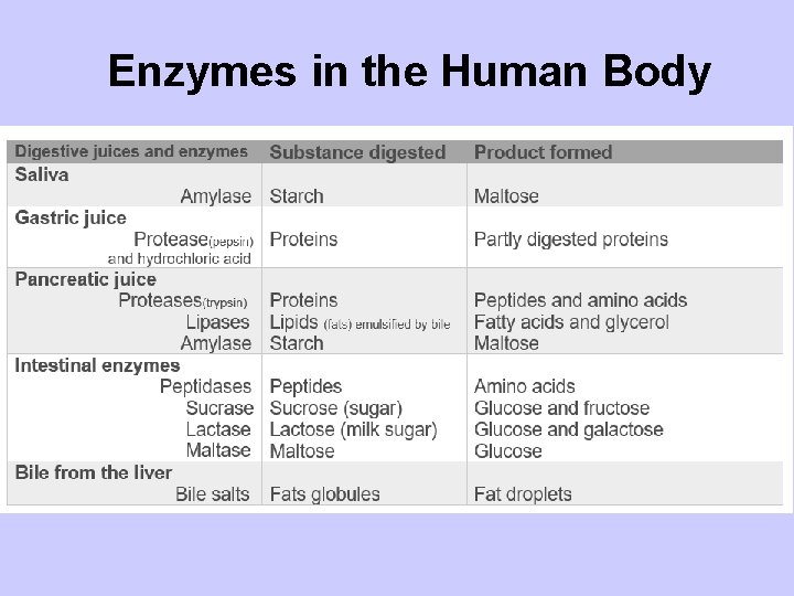 ENZYMES Enzymes are what type of biological molecule