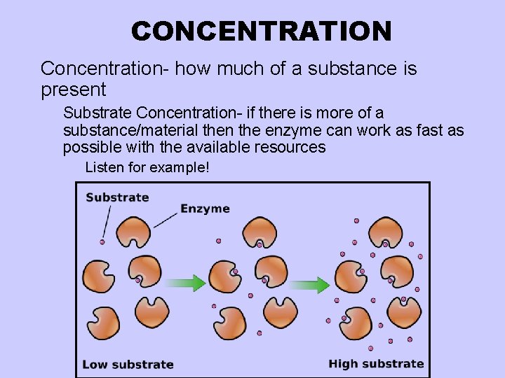 CONCENTRATION l Concentration- how much of a substance is present ¡ Substrate Concentration- if