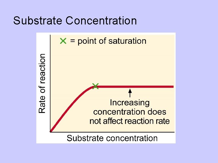 Substrate Concentration 