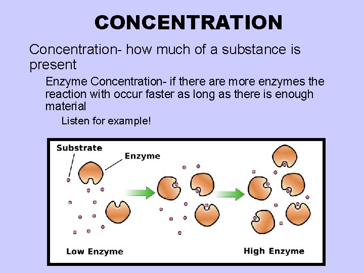 CONCENTRATION l Concentration- how much of a substance is present ¡ Enzyme Concentration- if