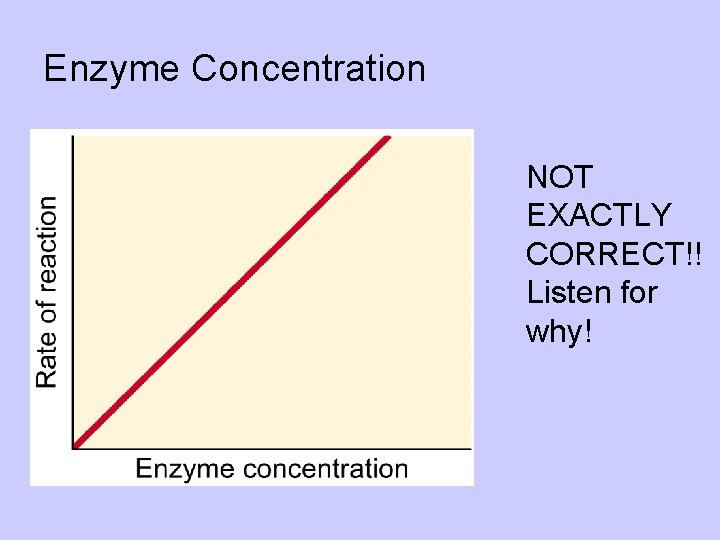 Enzyme Concentration l NOT EXACTLY CORRECT!! Listen for why! 