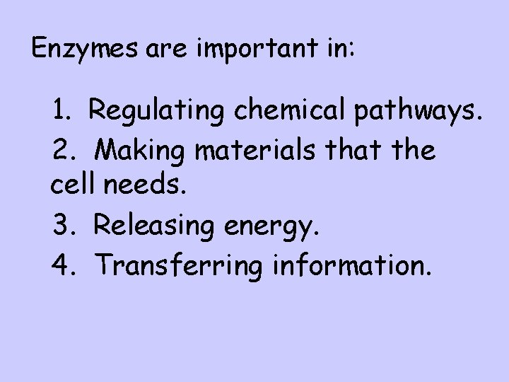 Enzymes are important in: l 1. Regulating chemical pathways. l 2. Making materials that