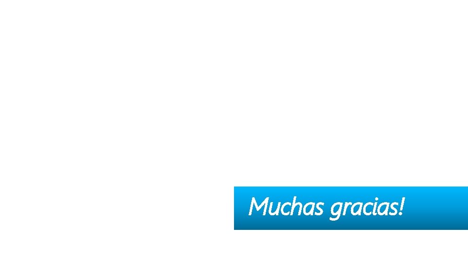 Muchas gracias! 