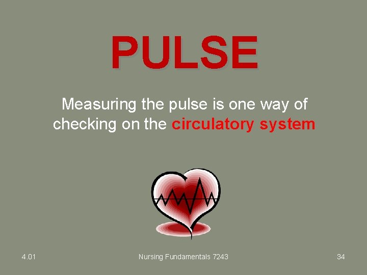 PULSE Measuring the pulse is one way of checking on the circulatory system 4.