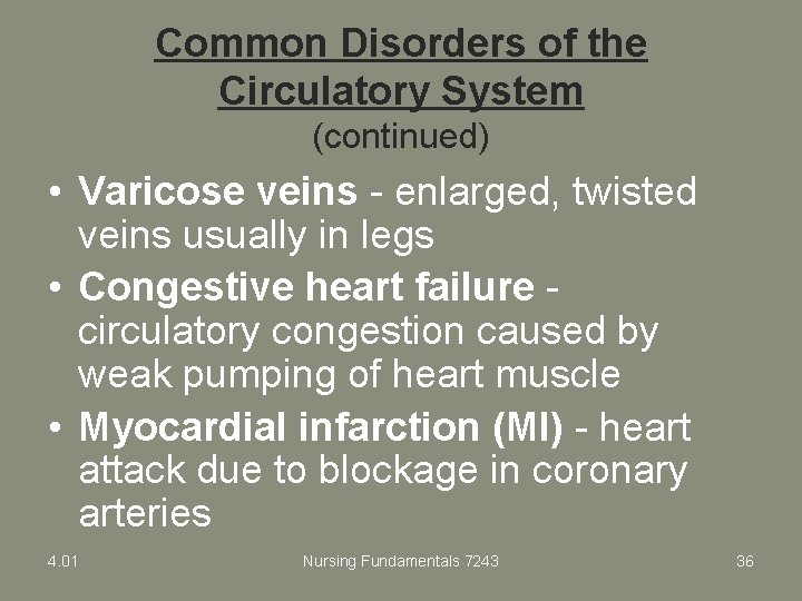 Common Disorders of the Circulatory System (continued) • Varicose veins - enlarged, twisted veins