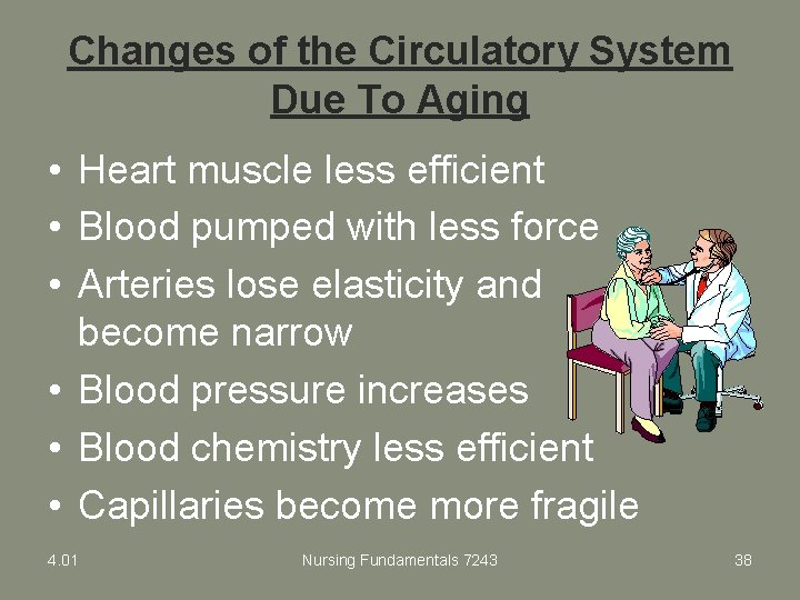 Changes of the Circulatory System Due To Aging • Heart muscle less efficient •