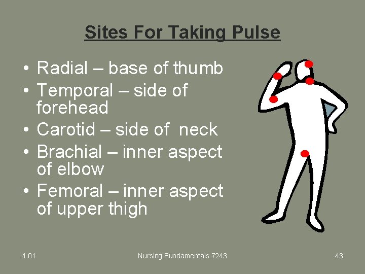 Sites For Taking Pulse • Radial – base of thumb • Temporal – side
