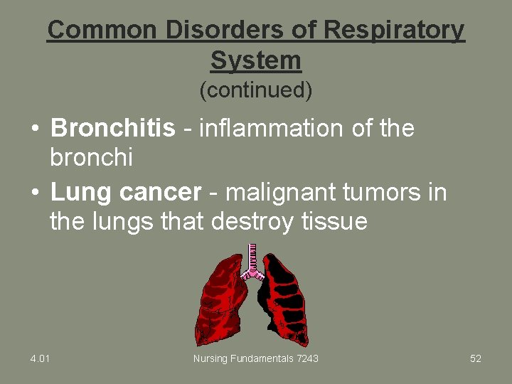 Common Disorders of Respiratory System (continued) • Bronchitis - inflammation of the bronchi •