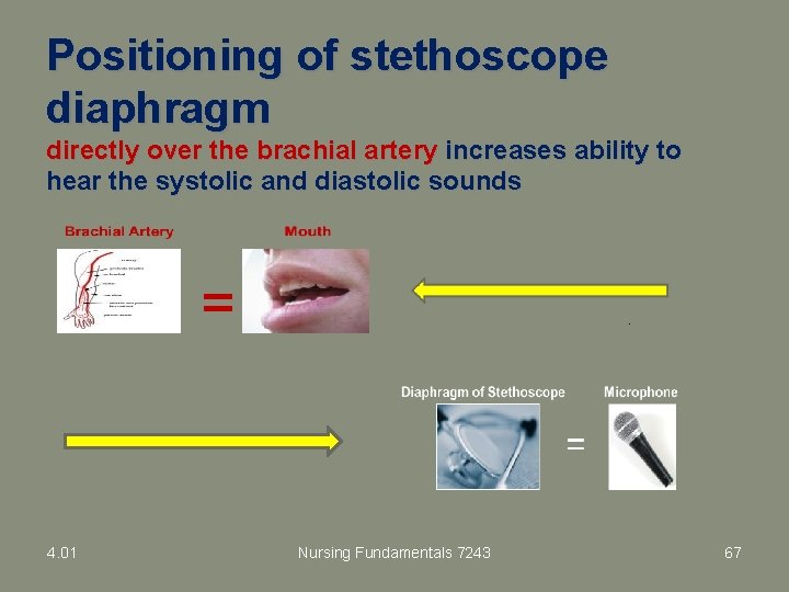 Positioning of stethoscope diaphragm directly over the brachial artery increases ability to hear the