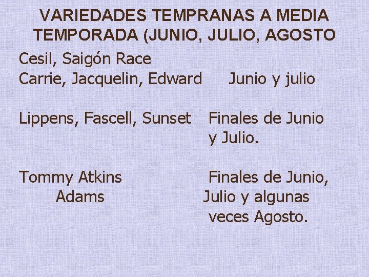 VARIEDADES TEMPRANAS A MEDIA TEMPORADA (JUNIO, JULIO, AGOSTO Cesil, Saigón Race Carrie, Jacquelin, Edward