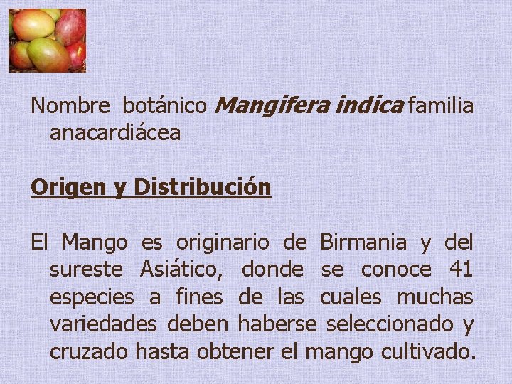 Nombre botánico Mangifera indica familia anacardiácea Origen y Distribución El Mango es originario de