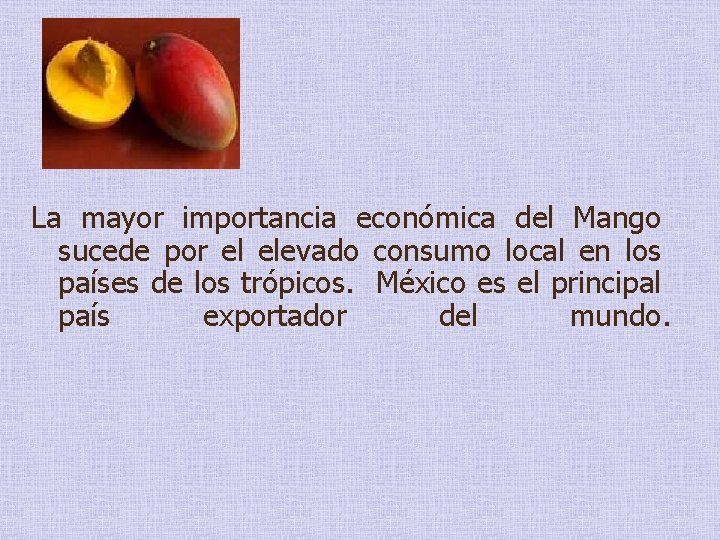 La mayor importancia económica del Mango sucede por el elevado consumo local en los