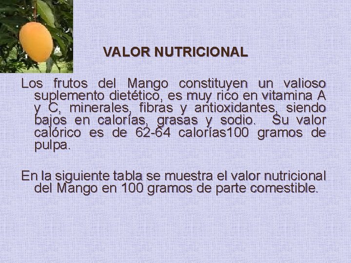 VALOR NUTRICIONAL Los frutos del Mango constituyen un valioso suplemento dietético, es muy rico