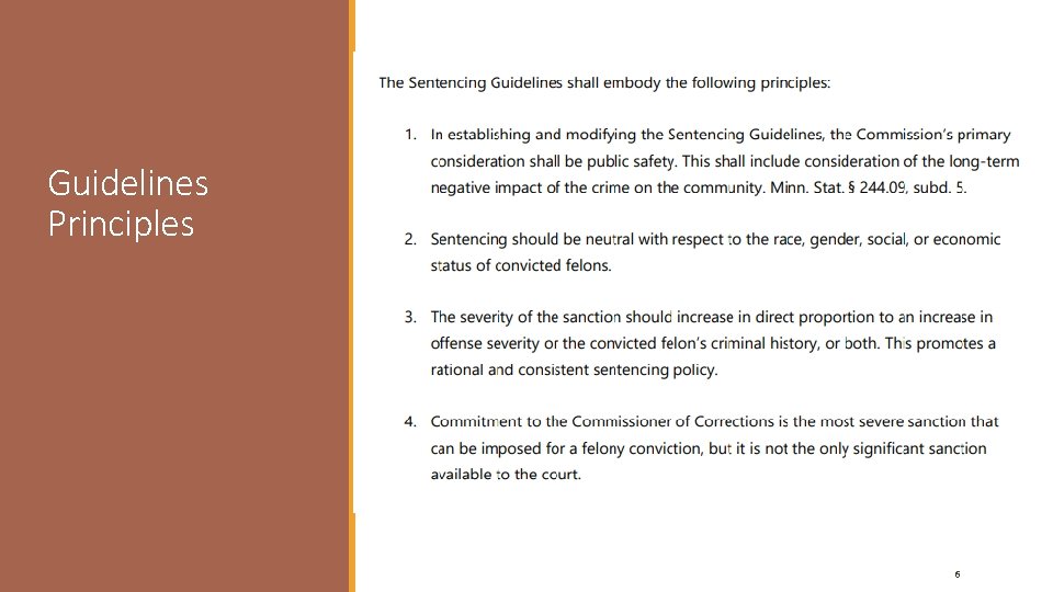 Guidelines Principles 6 