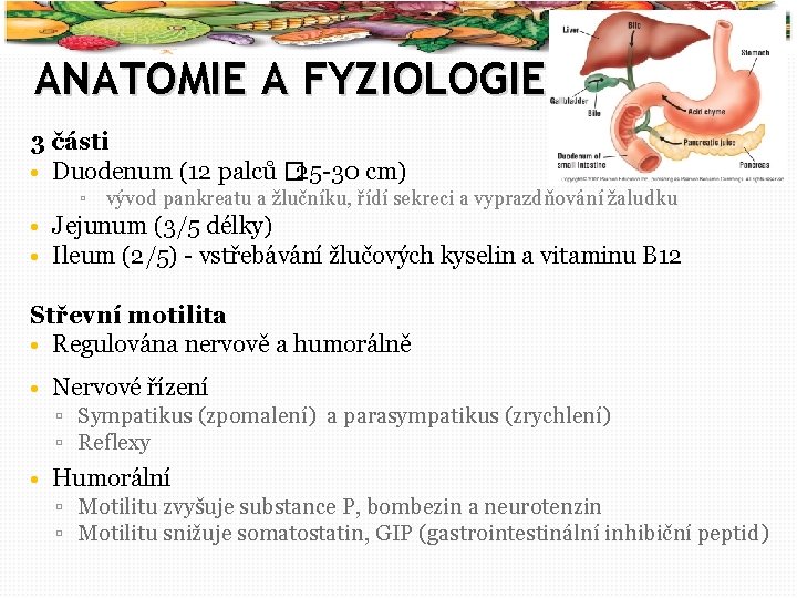 4 ANATOMIE A FYZIOLOGIE 3 části • Duodenum (12 palců � 25 -30 cm)