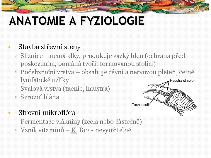 8 ANATOMIE A FYZIOLOGIE • Stavba střevní stěny ▫ Sliznice – nemá klky, produkuje