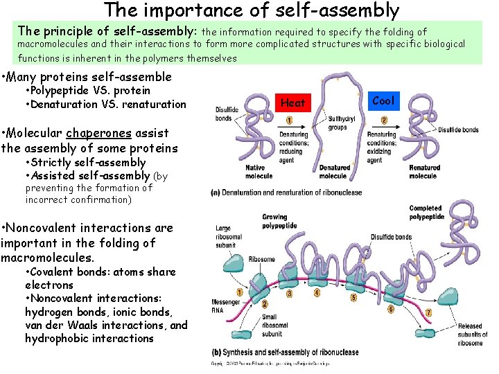 The importance of self-assembly The principle of self-assembly: the information required to specify the