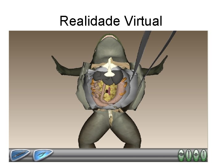 Realidade Virtual 