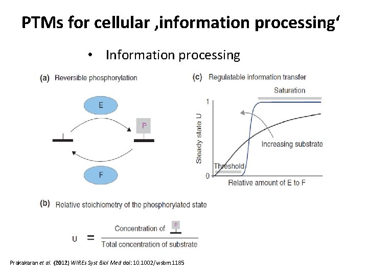 PTMs for cellular ‚information processing‘ • Information processing Prakakaran et al. (2012) WIREs Syst
