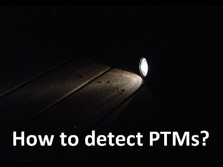 How to detect PTMs? 