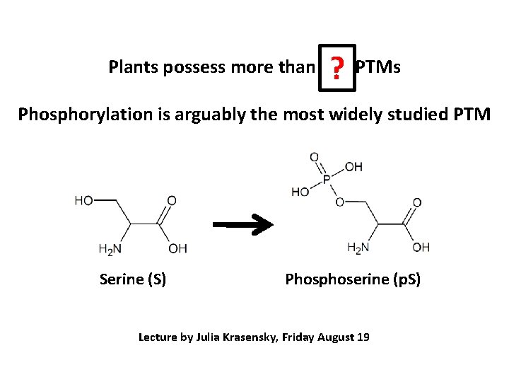 ? Plants possess more than 300 PTMs Phosphorylation is arguably the most widely studied
