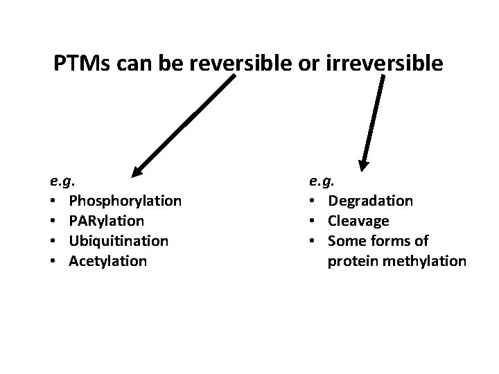 PTMs can be reversible or irreversible e. g. • Phosphorylation • PARylation • Ubiquitination