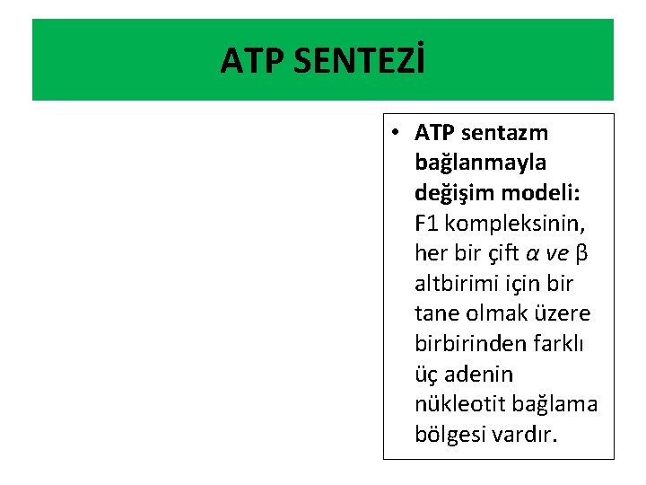 ATP SENTEZİ • ATP sentazm bağlanmayla değişim modeli: F 1 kompleksinin, her bir çift